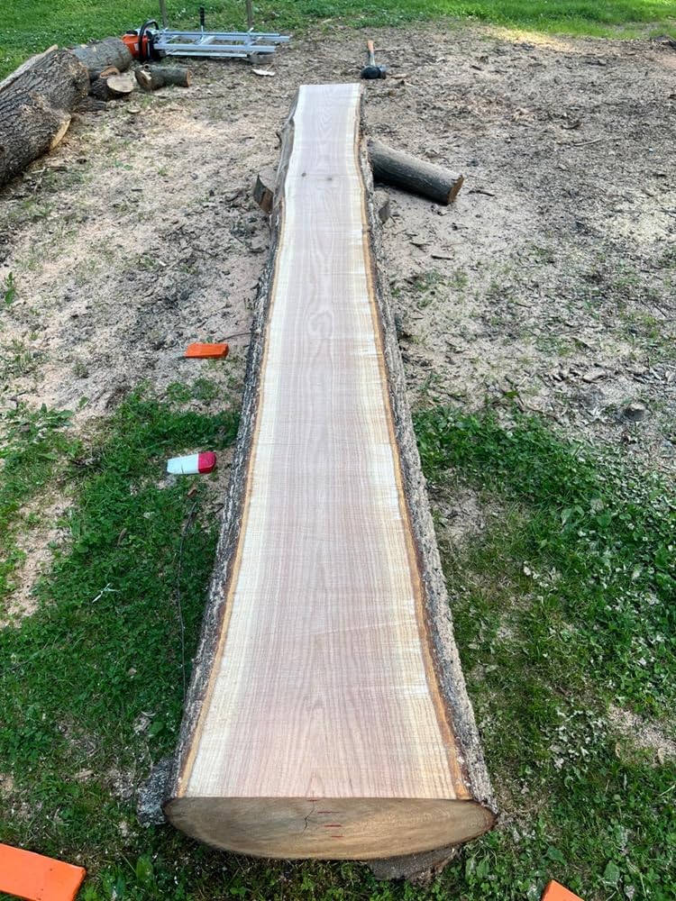 Portable Chainsaw Mill 36 Inches Planking Milling Bar Size 14 Inches to 36 Inches,with 9Ft Rail Mill Guide System