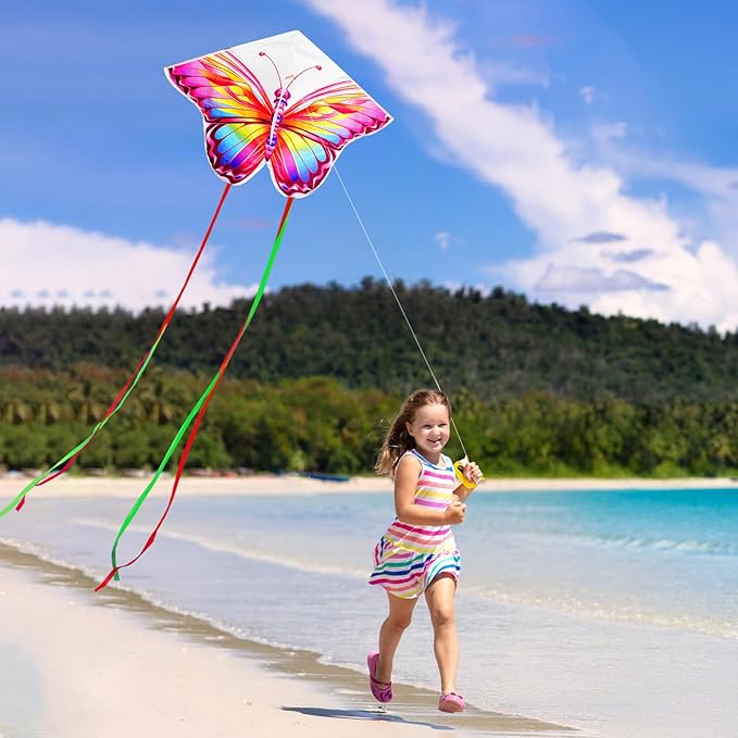 HENGDA KITE 2 Pack Butterfly Kite,for Kids and Adults,Easy to Fly,Excellent Fabric and Structure Design,The Pictures are Beautiful in high Definition,Suitable for Beginners(31x22)