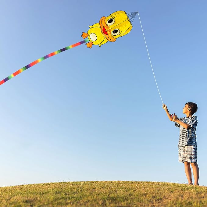 Duck Pattern Kites for Kids, Cute Large Kite Duck Kite with Long Colorful Tail for Kids & Adults, Easy to Fly Kite for Beginners Outdoor Activities