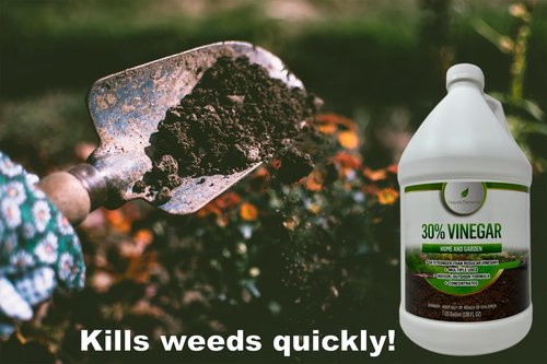 Natural Elements 30% Vinegar | Home & Garden | 6X Cleaning Power | Multiple Uses | 1 Gallon