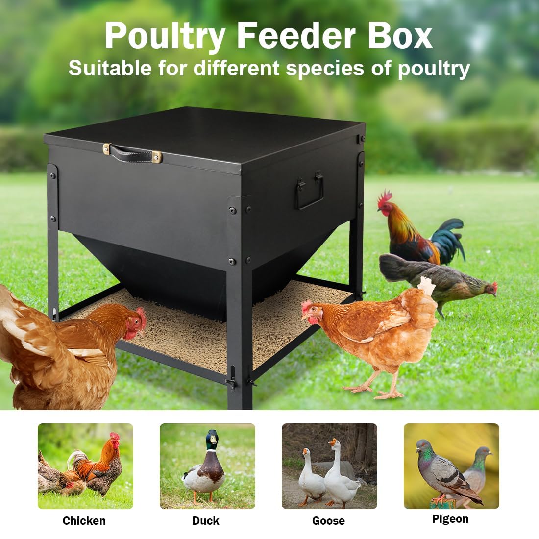 DOLEMODUO Metal Chicken Feeder No Waste, Large Capacity Poultry Feeder, Adjustable Galvanized Steel Chicken Coop Feeder with Lid and Handle