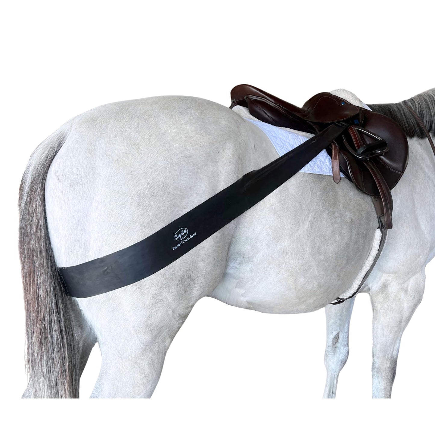 Sage Hill Mercantile New & Updated! Equine Fitness Band for Horses | Lunging Band | Fully Adjustable | English and Western | Clips to Saddle or Surcingle | Encourages Hind End and Topline Development