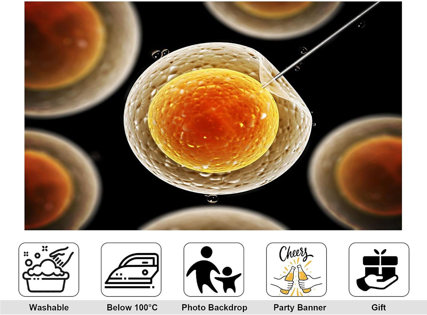 KeyWork 5x4ft Egg Cell Fertilization Backdrop Reproductive Medical Photography Background for Science Fair Health Event