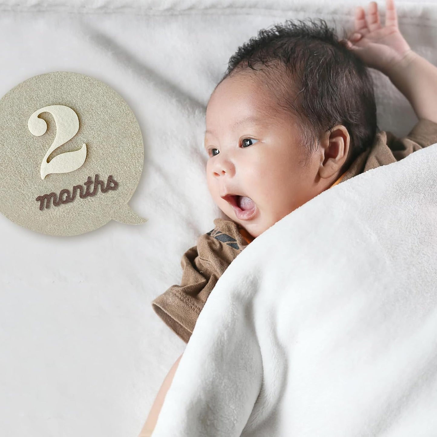 Felt Speech Bubble Baby Monthly Milestone Signs, First Year Baby Photo Prop | Birth Announcement, Growth Tracking