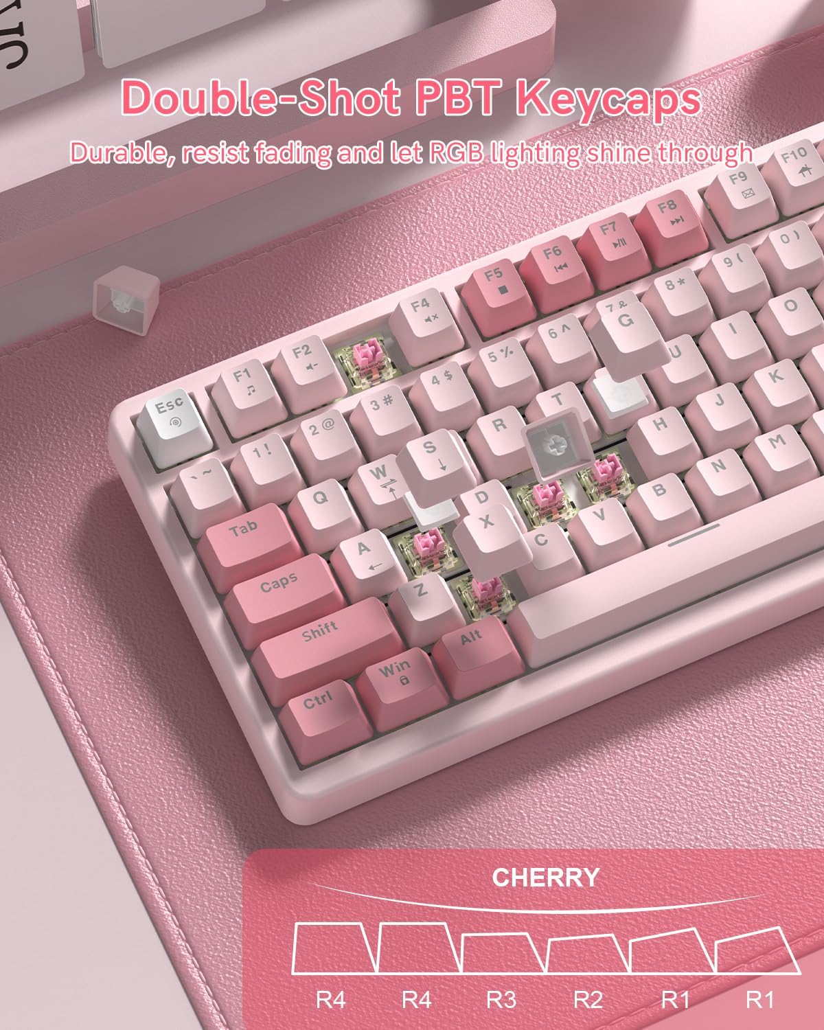 Keyporia VK75 75% Wired Gaming Keyboard with Multimedia Control Knob, Creamy Mechanical Keyboard RGB Backlit Gasket