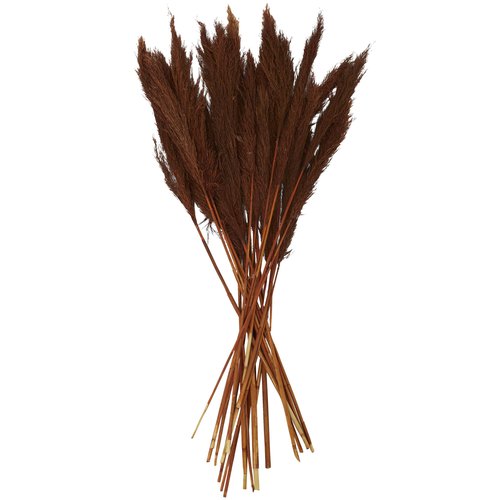 Deco 79 Dried Plant Pampas Home Decor Natural Foliage Natural Dried Foliage with Long Stems, Foliage for Decoration 2" x 1" x 35", Copper