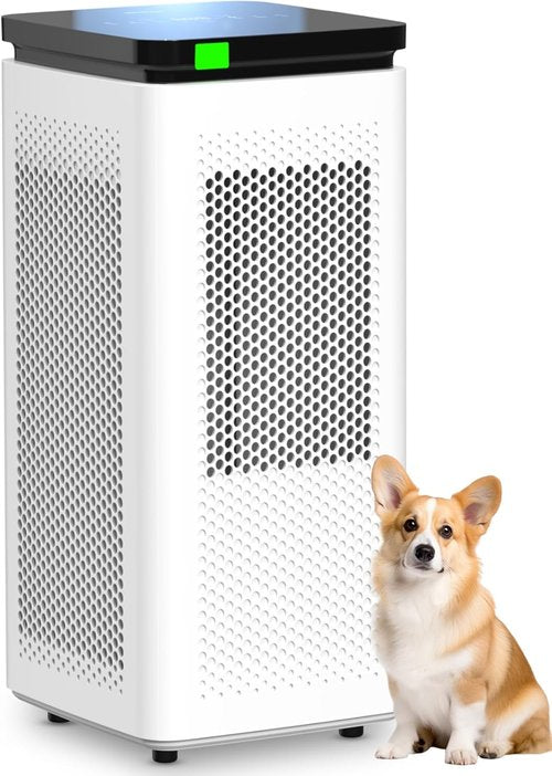 **Air Purifiers | H13 True HEPA Filtration for Large Rooms up to 3500 Ft² - 99.97% Allergen Removal**