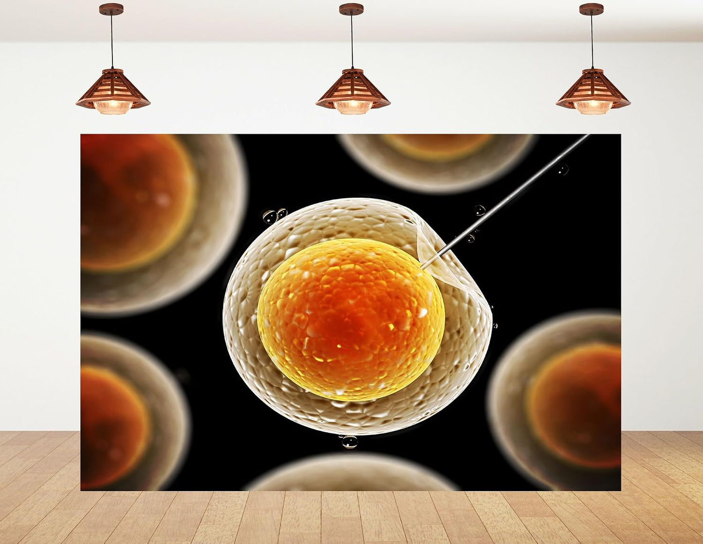KeyWork 5x3ft Egg Cell Fertilization Backdrop Reproductive Medical Photography Background for Science Fair Health Event