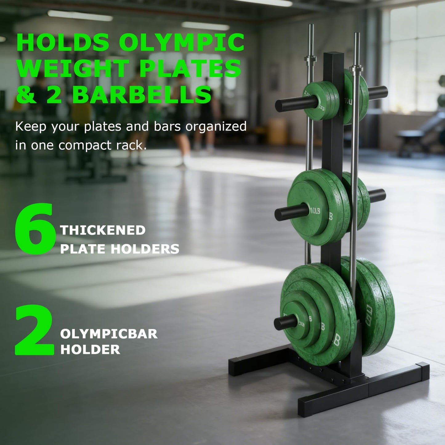 Olympic Weight Plate Rack, 6 Pegs & 2 Barbells for Bumper Plate Storage, Olympic Weight Plate Tree - Heavy Duty Bumper Plate Rack Holds 300 lbs