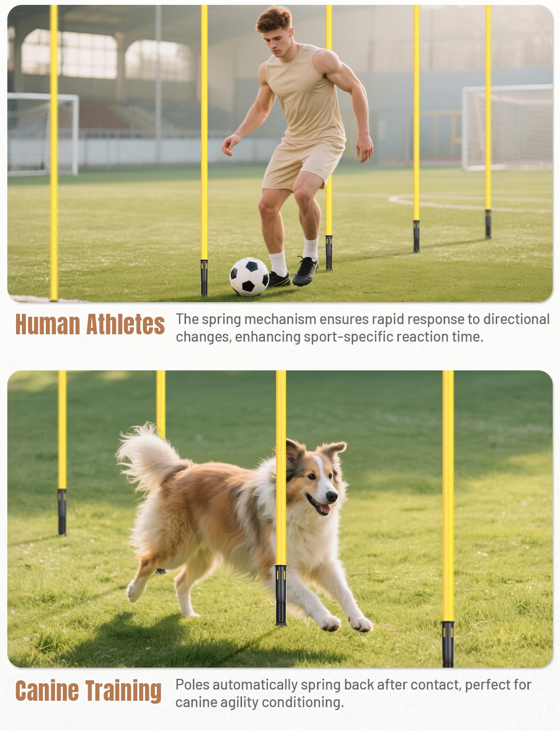 GHB Agility Poles 6 Pack 6ft Sports Soccer Training Poles,Detachable Speed Training Equipment Football Accessories (6 Pack 6ft)