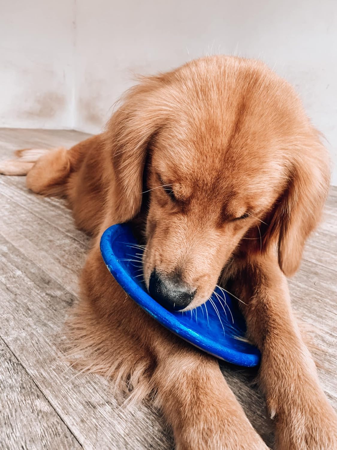 Ultra Durable Rubber Flying Disc Dog Toy for Aggressive Chewers – Heavy Duty Natural Rubber Frisbee for Large Dogs – Interactive Fetch & Tug Toy – Safe Lightweight Outdoor Training Disc – Blue