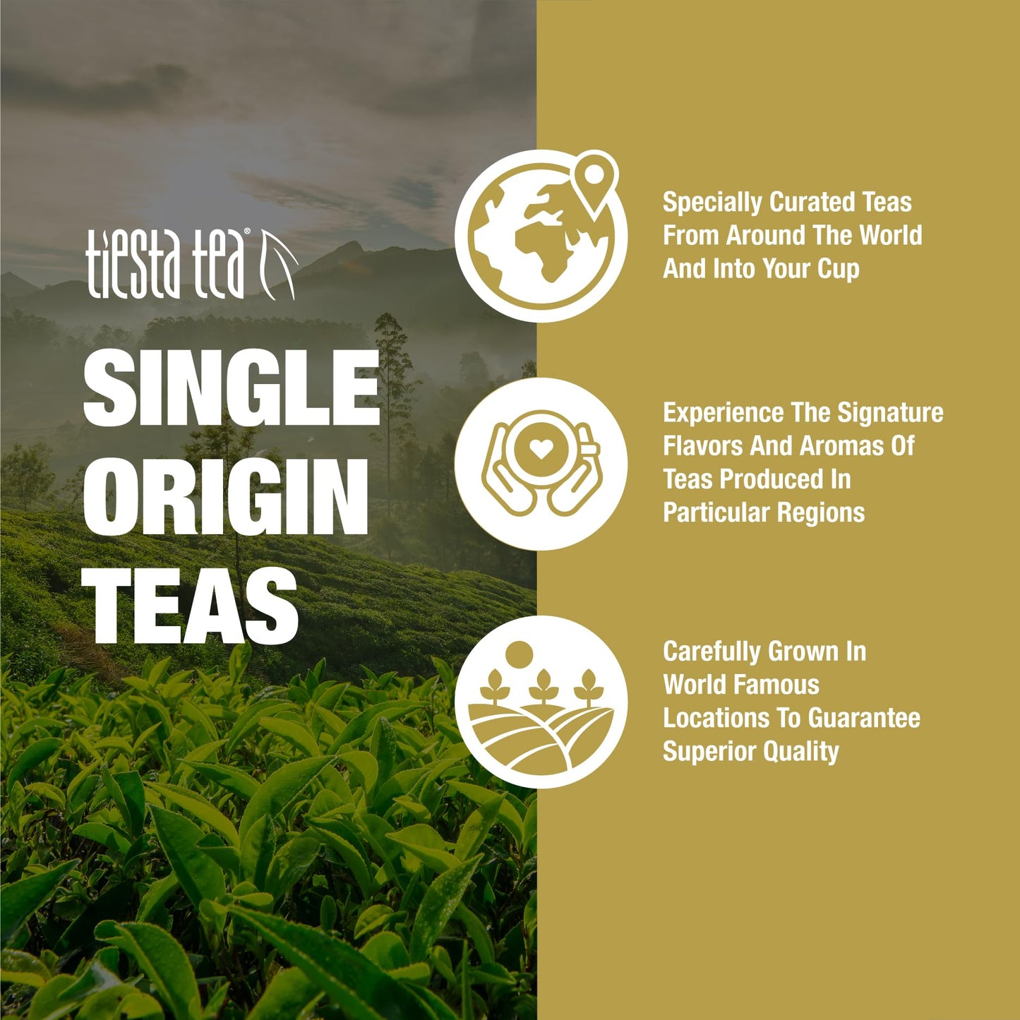 Tiesta Tea - Jasmine Pearls Green Tea, Loose Leaf, Single Origin Premium Jasmine from China, Medium Caffeinated, Makes Hot or Iced & Up to 50 Cups, 100% Pure Unblended, 5oz Refillable Tin