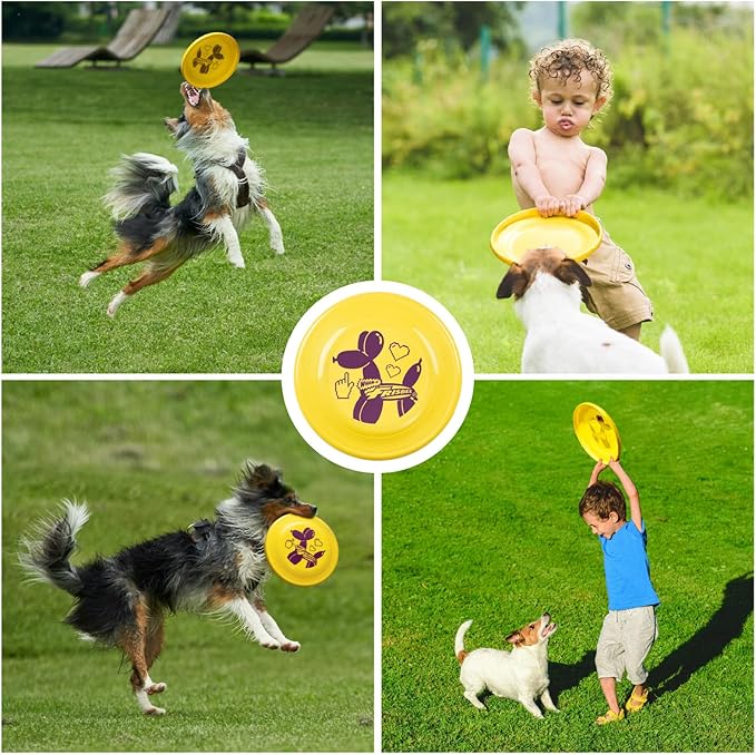 Wham-O Frisbee Fastback Flying Disc, 9.35 Inch Dog-Friendly Lightweight Sports Disc Toy for Outdoor Beach Backyard Games,Team Sports and Family Fun - 100g