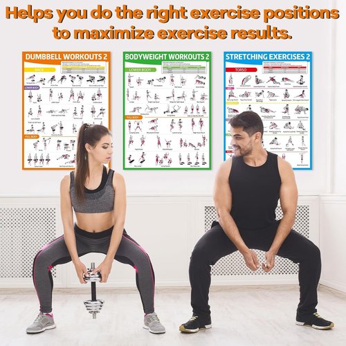 Gisgfim Workout Posters - 6PCS Home Gym Exercise Charts for Dumbbell & Bodyweight Stretching