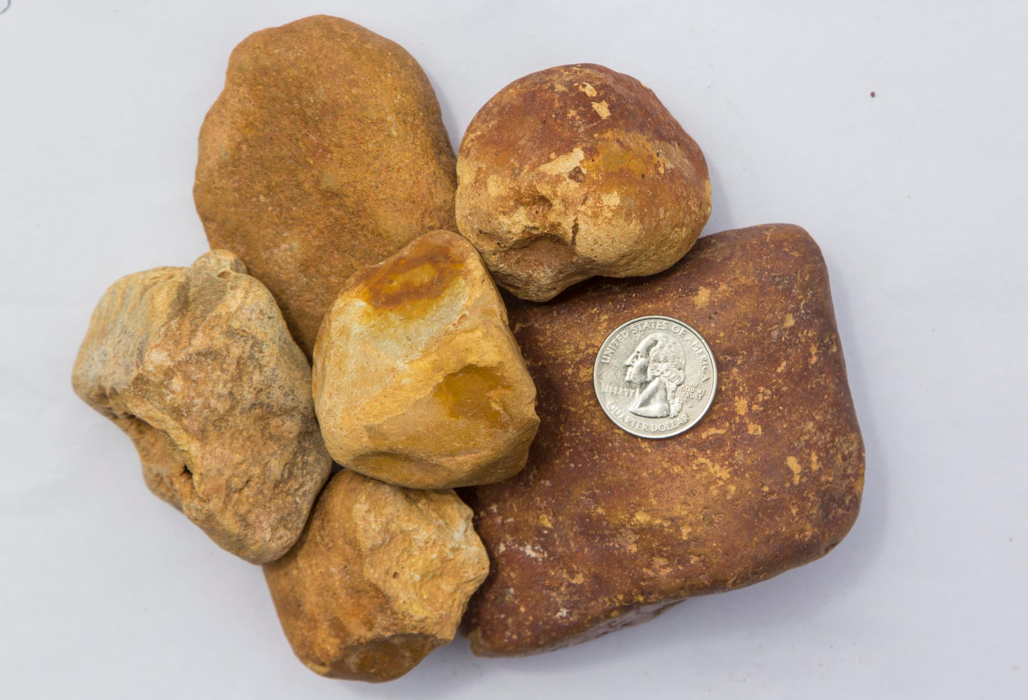 Large River Rock – Gravel Company 2-3'' River Rock for Drainage, Erosion Control, Creek Beds & Landscape Accents – Natural Rounded Stone (40 lbs)
