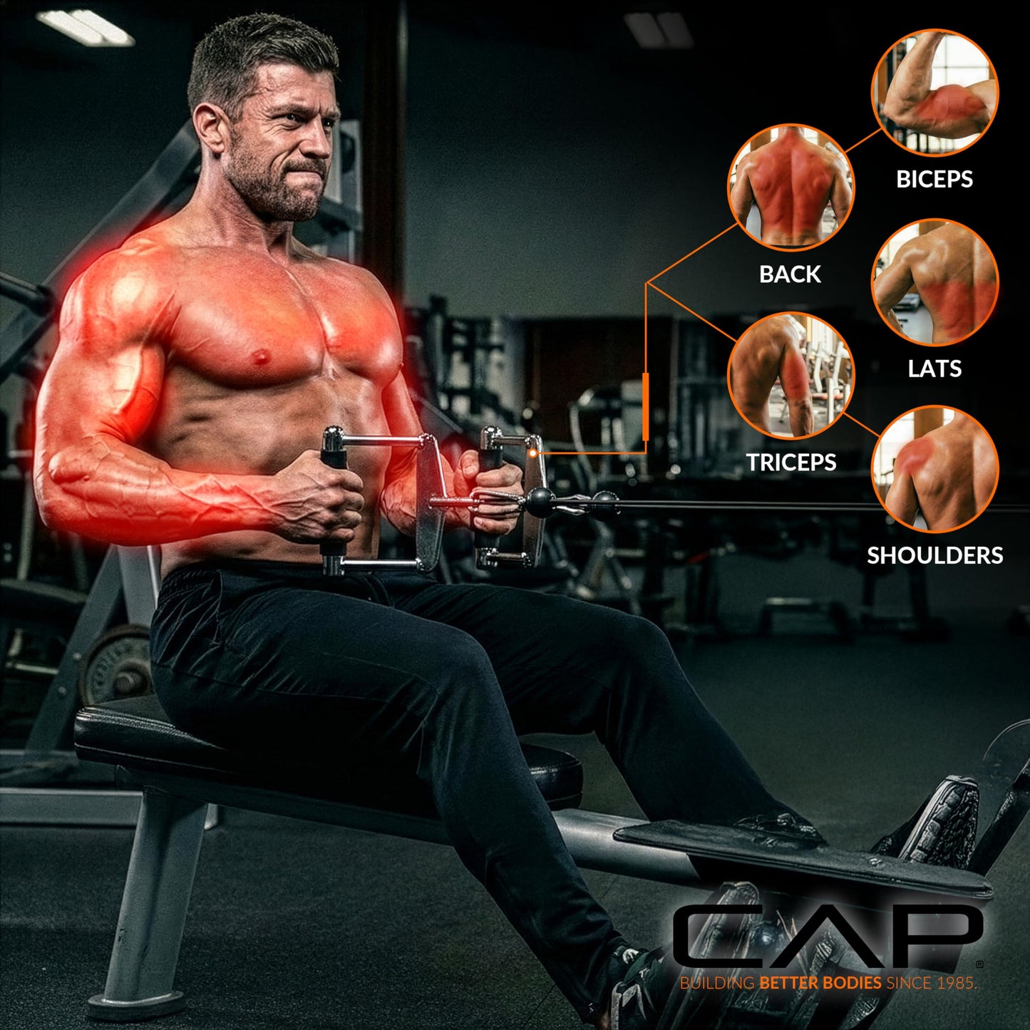 CAP Barbell Single D Handle with Rubber Handgrips