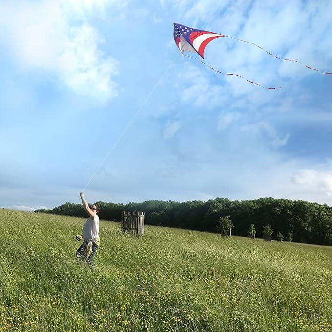 Mint's Colorful Life Delta Kite for Kids & Adults, Extremely Easy to Fly Kite, Best Kites for Beginner