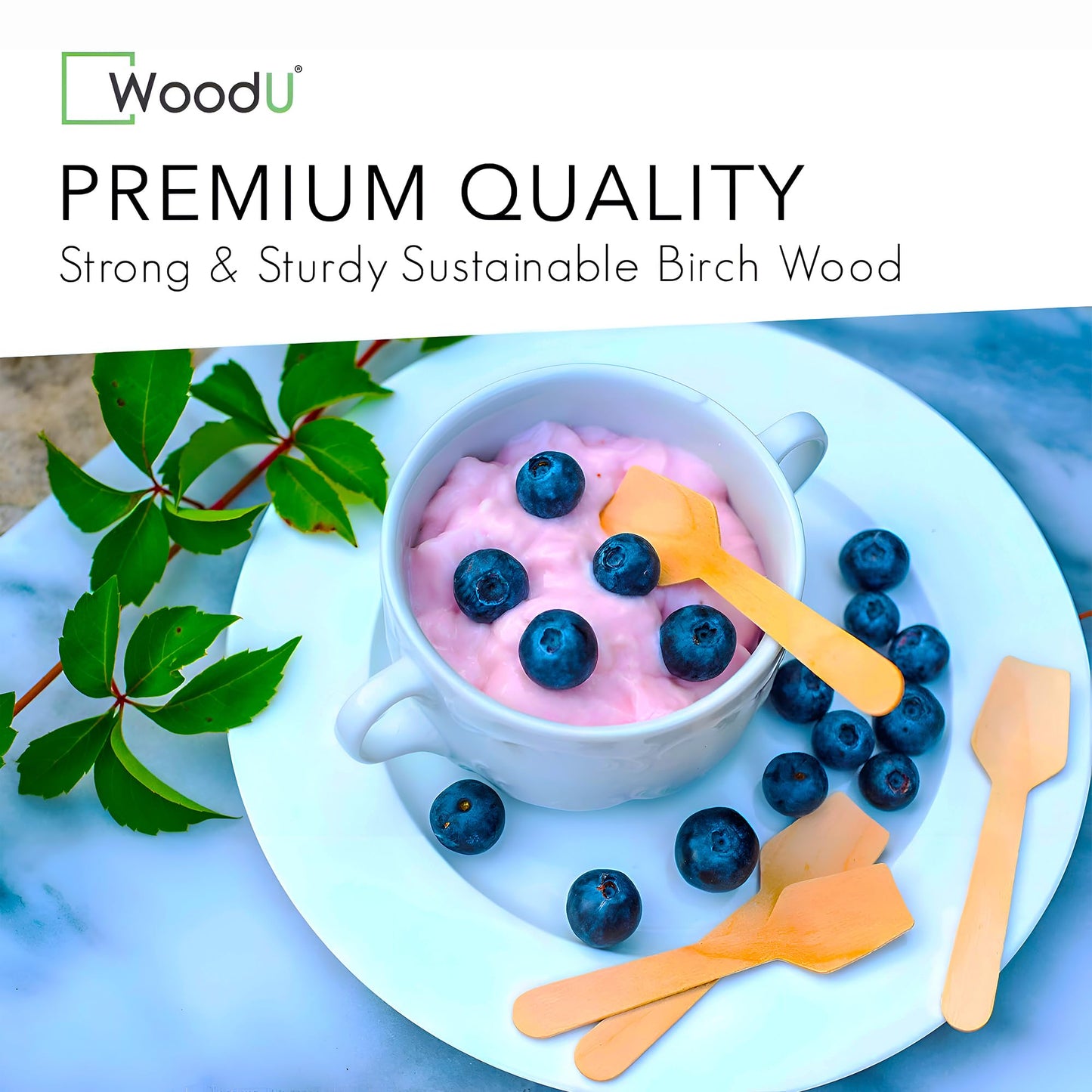Small wooden spoons, Eco-Friendly ice cream gelato spoons & sample tasting mini wooden spoon for eating Dessert & Yogurt 100% All-Natural - Pack of 100-3.5”