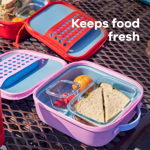 Hydro Flask Kids Small Insulated Lunch Box Seaspray