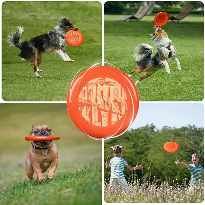 Wham-O Frisbee Cool Flyer Flying Disc, 9.95 Inch Sports Disc Lightweight Durable for Outdoor Beach Park Backyard Game - 130g