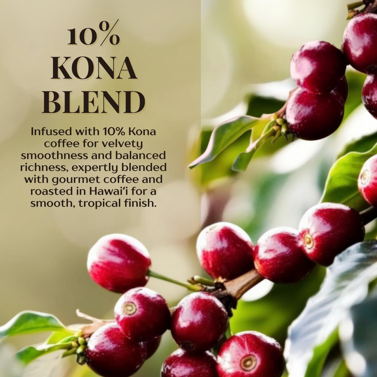 Royal Kona Roy's Pacific Coast, 10% Kona Coffee Blend, Medium-Dark Roast Single-Serve Coffee Pods, Compatible with Pod Brewing Systems, A Taste of Aloha - (12 Count Box)