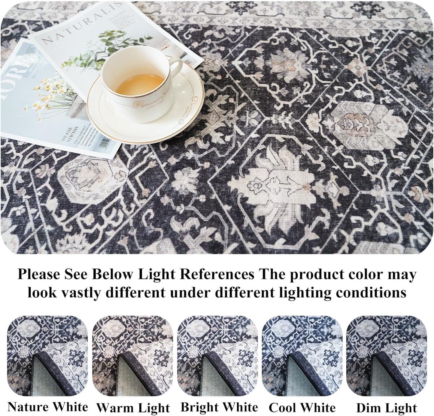 Skiennix Washable 3x4 Entryway Area Rug - Ultra Soft Low Pile Anti-Slip Carpet for Indoor Use | Black
