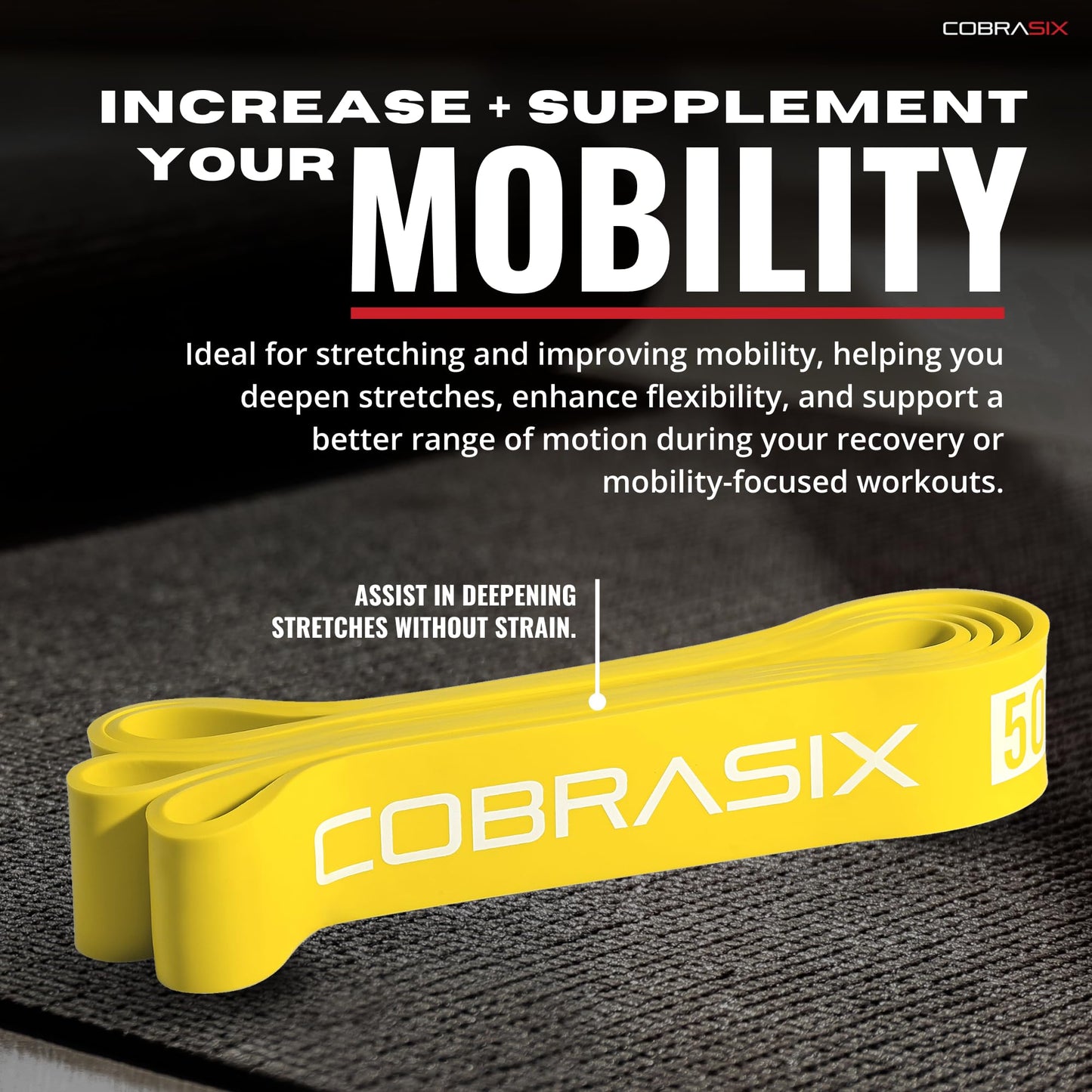 COBRASIX Set of 6 Resistance Bands with Handles, Door Anchor & Bar | Long Resistance Bands for Working Out & Strength Training | Exercise Bands for Home Gym | Pull Up Assistance Bands | Men and Women