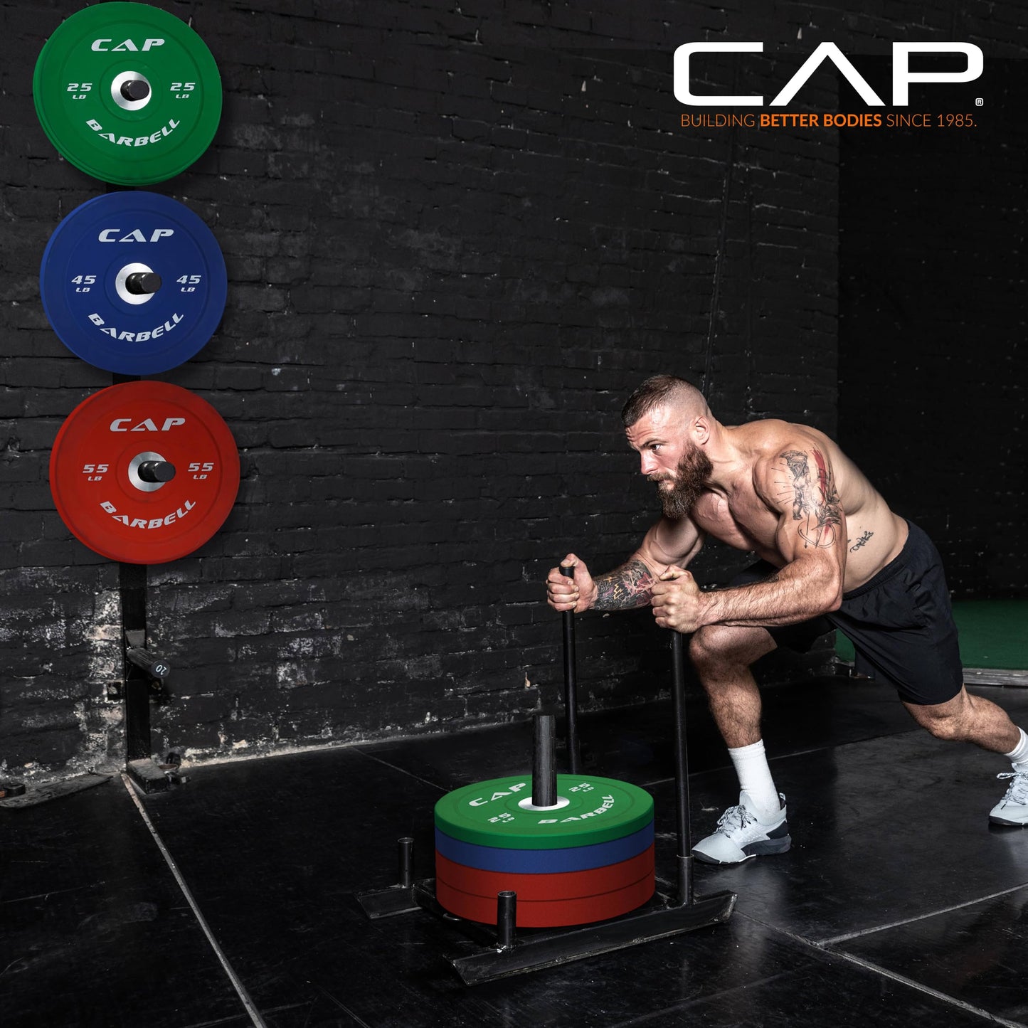CAP Barbell Competition Olympic Bumper Plate Set, White, 10 lb Pair