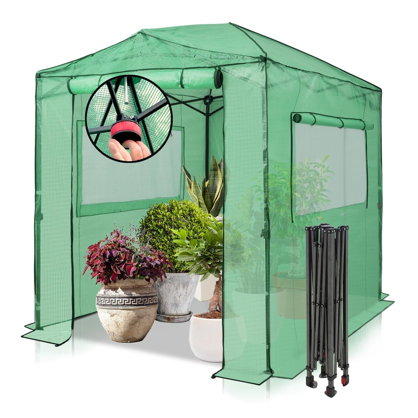 EAGLE PEAK 8x6 Portable Walk in Greenhouse, Pop Up Indoor Outdoor Greenhouse, Green House Kit with Zippered Roll-Up Doors and Windows, PE Cover, Clear/Green
