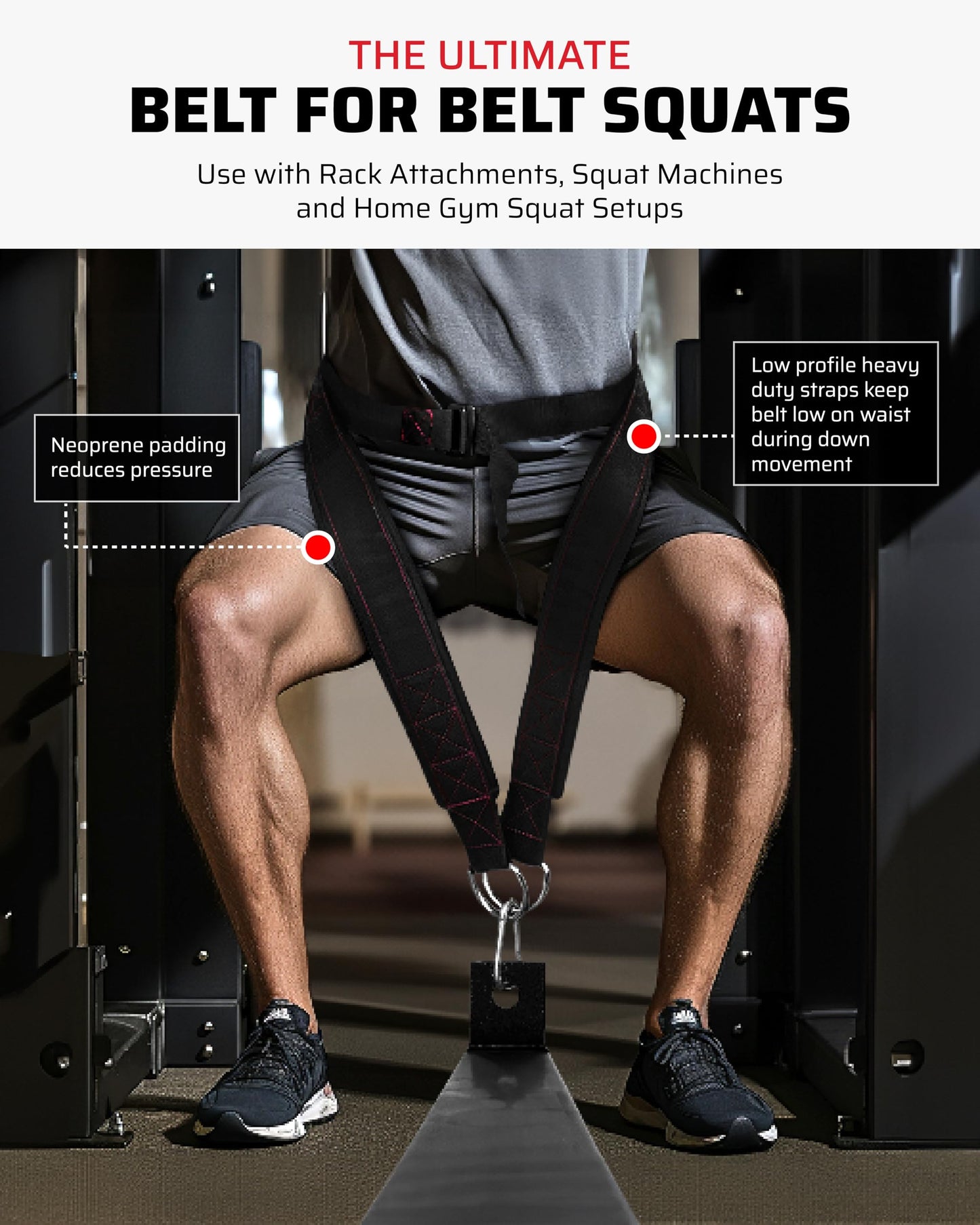 THEFITGUY Ultimate Belt for Belt Squats, Rack Attachment and Squat Machine, Structured Back Support, Stays Low During Down Movement, Padded Hip & Thigh Area, Buckle Strap - No Sliding Down, Heavy Duty