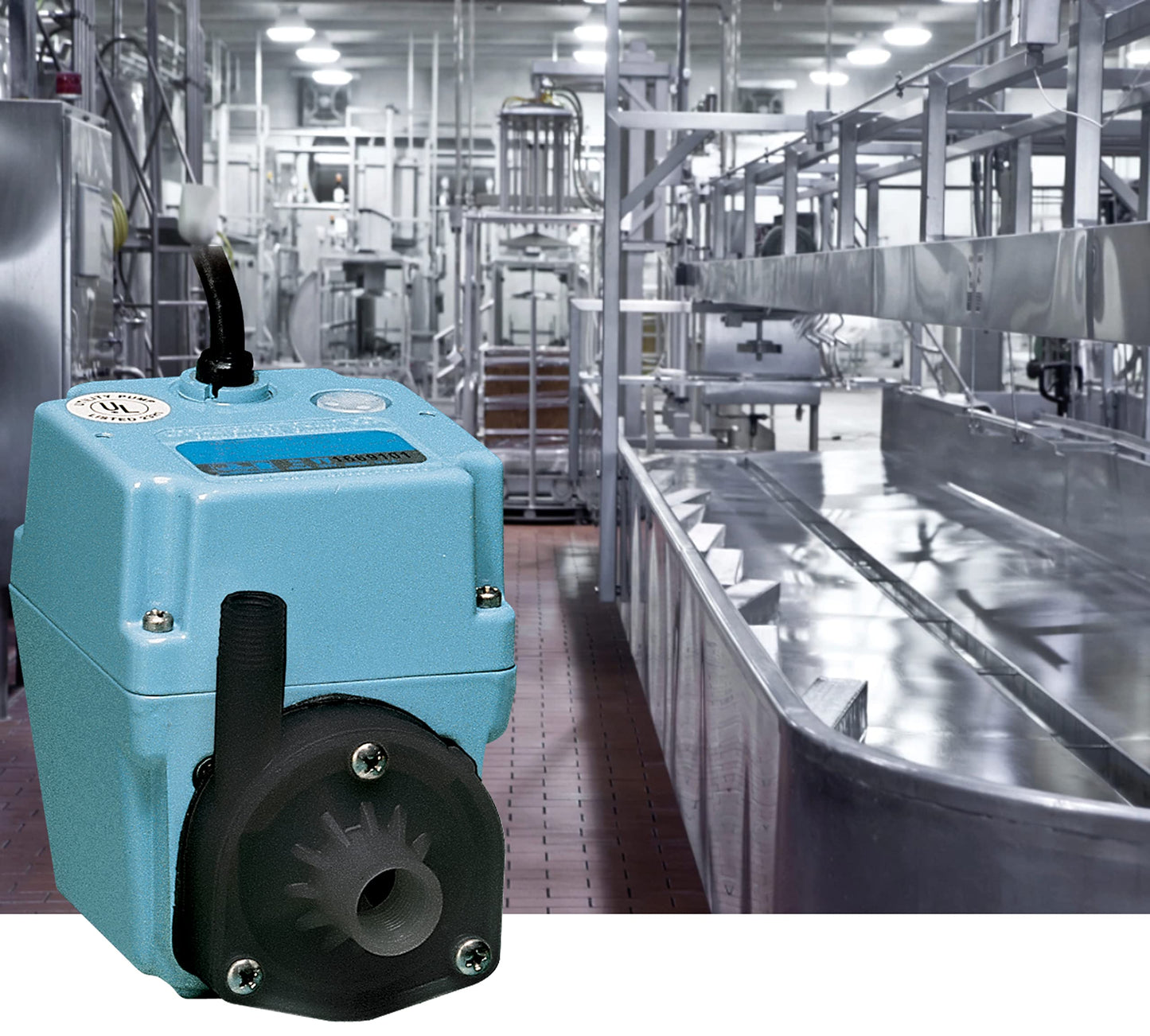 Little Giant 2E-NDVR 115 Volt, 1/40 HP, 300 GPH Double Seal Acidic Pump with 6 Ft. Cord, Blue, 502303