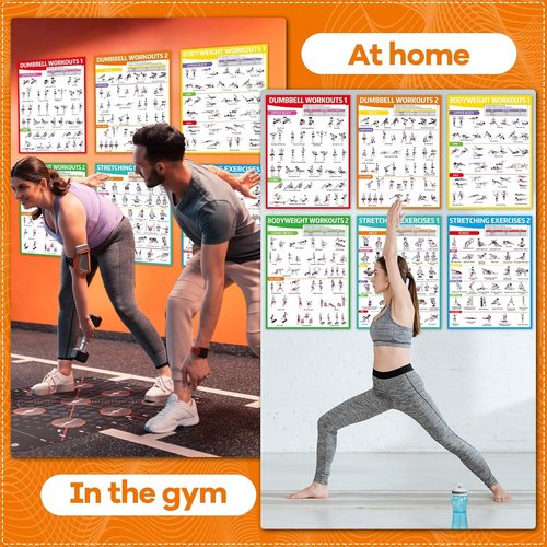 Gisgfim Workout Posters - 6PCS Home Gym Exercise Charts for Dumbbell & Bodyweight Stretching