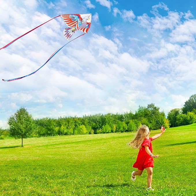 HONBO Eagle Kite, America Flag Kite for Kids and Adults. Wonderful Beginner Kite for Boys and Girls, Suitable for Ages 8-12, Best Single Line Kites Comes with 200ft String and Handle(Eagle)