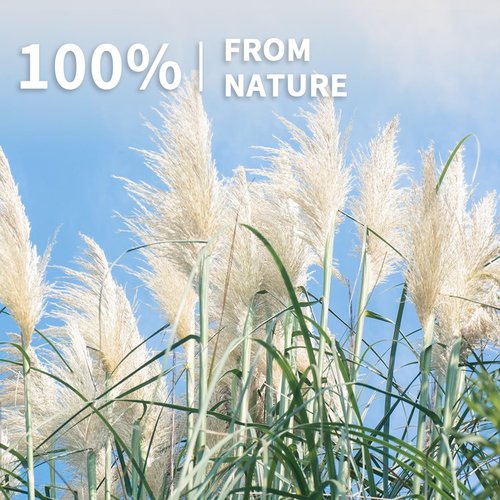 Le courant 17" 100Pcs Dried Pampas Grass Decor, Naturally Small Boho Pampas Grass with Bunny Tails & Reed Grass for Home Table Decor, Wedding, Rustic Farmhouse Party Decorations, White and Brown