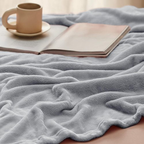 Bedsure GentleSoft Fleece Blanket - Lightweight Plush Cozy Twin Size in Light Grey, 60x80 Inches
