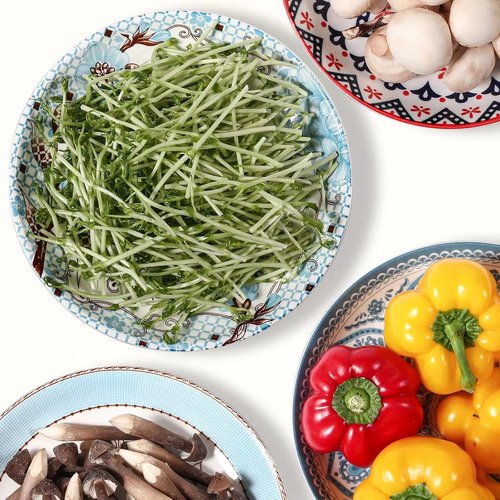 Artena Pasta Bowls Set - 20oz Porcelain Salad Bowls | 8-Inch Colorful Dinner Plates in Blue Peony