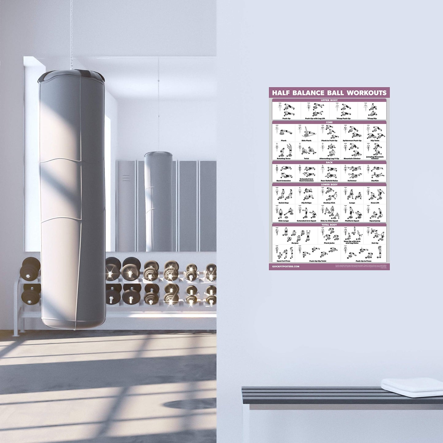 Palace Learning Half Balance Ball Workout Poster - Exercise Chart (LAMINATED, 18" x 24")