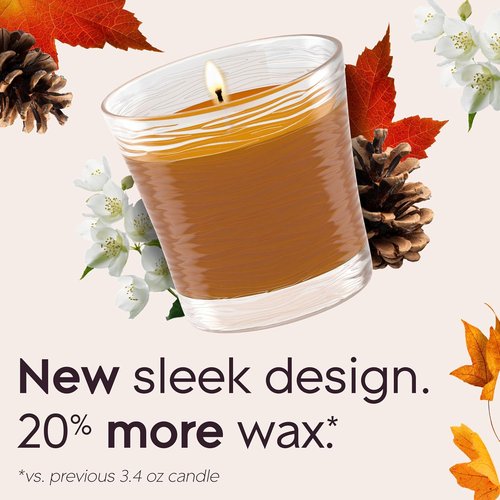 Glade Scented Candle Jar - Cashmere Woods Air Freshener with Essential Oils | 4.08 Oz, 2 Count