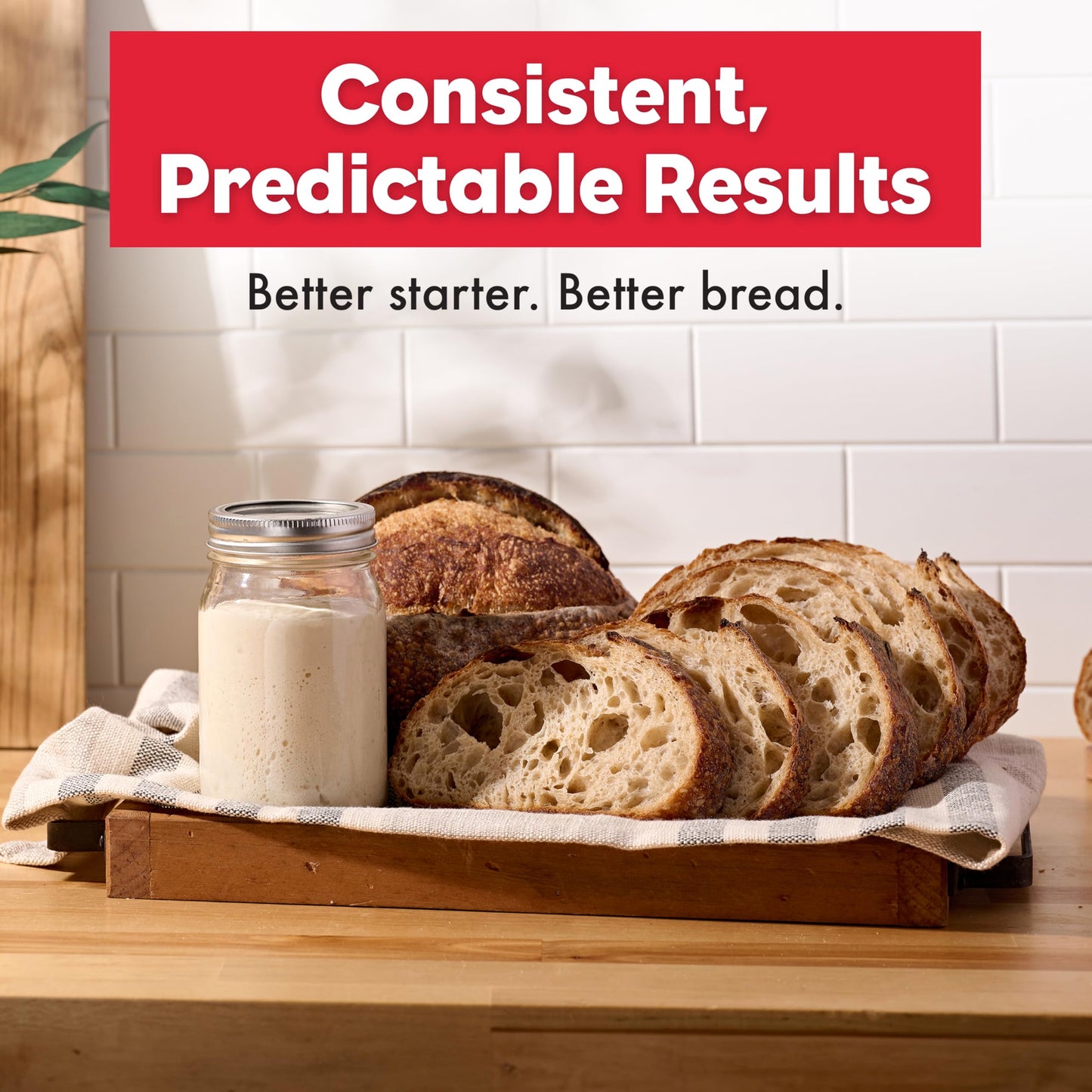 Brod & Taylor Sourdough Home