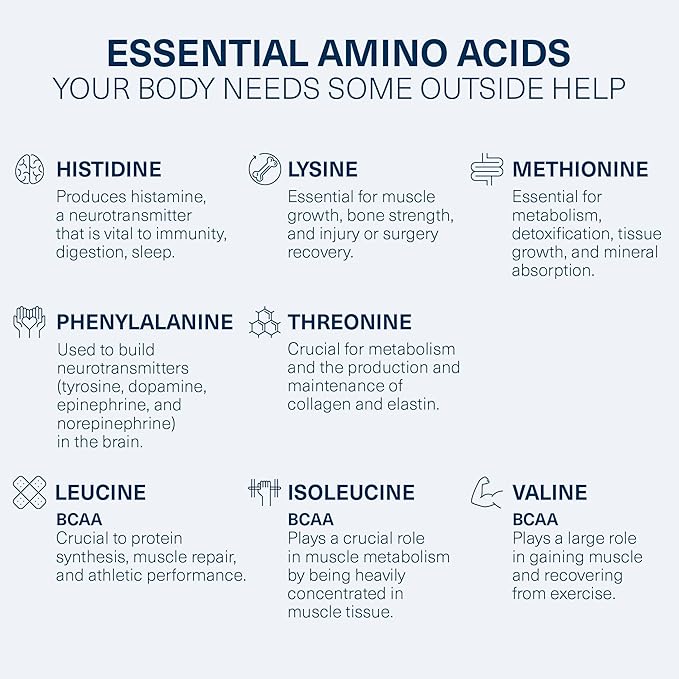 The Amino CO. - Perform Pre Workout Powder Supplement with Pure EAA Amino Acids & Natural Flavor, Stevia Sweetened Preworkout Energy Boost for Men & Women - Blue Raspberry (6.7 oz)