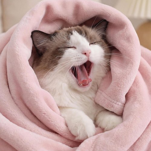 Bedsure GentleSoft Fleece Bed Blanket - Cozy Lightweight Plush Microfiber, Full Size Pink, 84x90 Inches