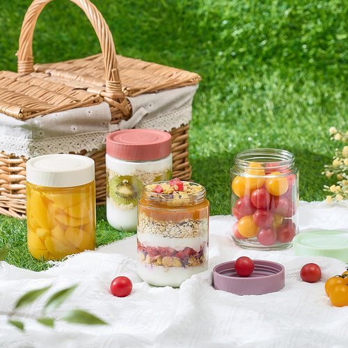 Danmu 16 oz Overnight Oats Containers with Lids,Meal Prep Containers 6 Pack,Mason Jars 16 oz with Lids for Snack,Overnight Oats,Yogurt,Parfait,Soup,Smoothies,Salad 100% Leak-proof Dishwasher Safe