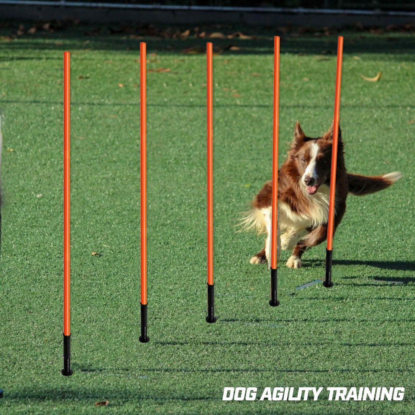 AKABIKE Agility Training Poles Set (Spike/Water/Rubber Base with 3.3ft/1m to 4.9ft/1.5m Poles)