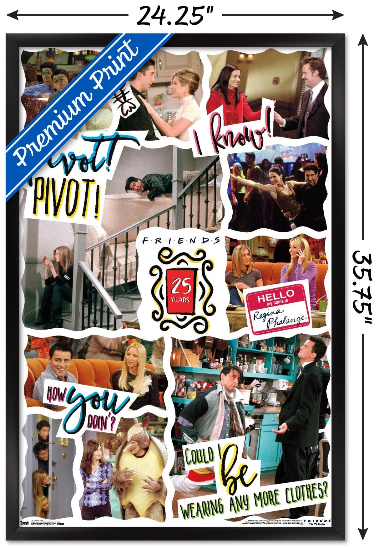 Trends International Friends - 25th Wall Poster, 22.375" x 34", Black Framed Version