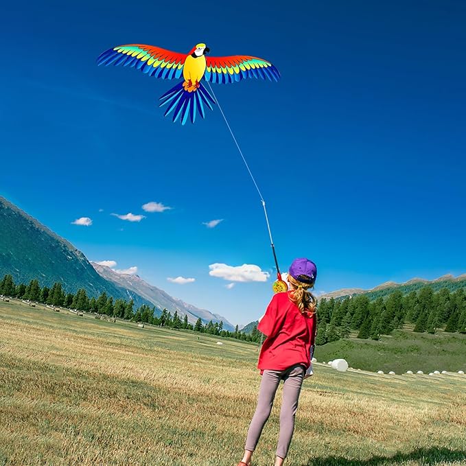 HENGDA KITE Fishing Rod Kite,for Kids and Adults,Easy to Fly,Excellent Fabric and Structure Design,The Pictures are Beautiful in high Definition,Suitable for Beginners(13x8) in.