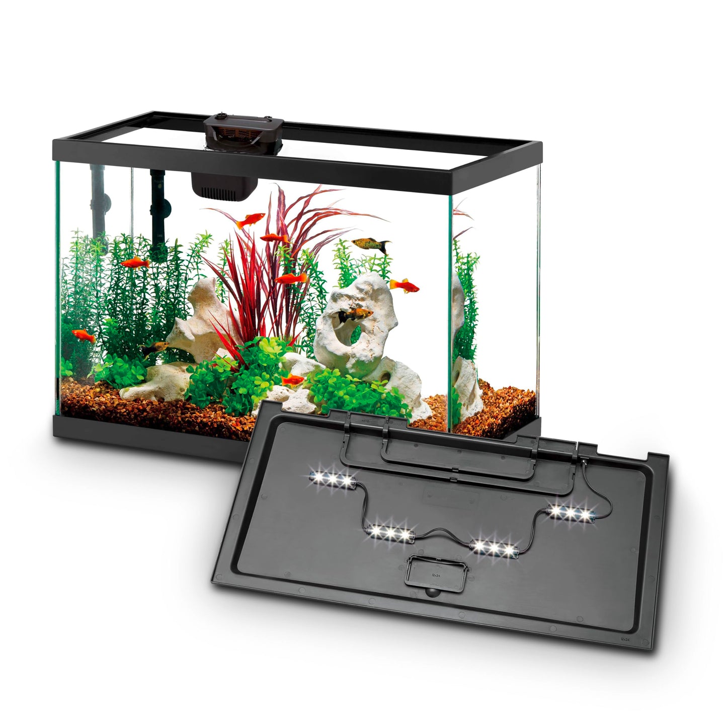 Aqueon Aquarium Starter Kit with Smart Clean Filtration and LED Lighting, Freshwater and Saltwater Fish, 20-Gallon