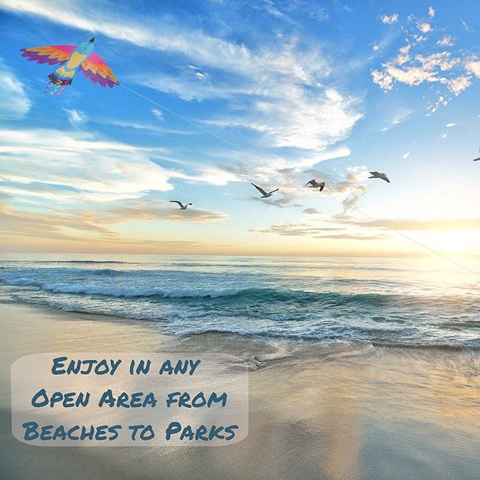 Premier Kites Paradise Bird Kite are Great Kites for Adults and Easy to Fly Kites for Kids | A Large Kite with a 70 Inch Wingspan and a 36 Inch Body with Bold Colors and Detailed Applique Work