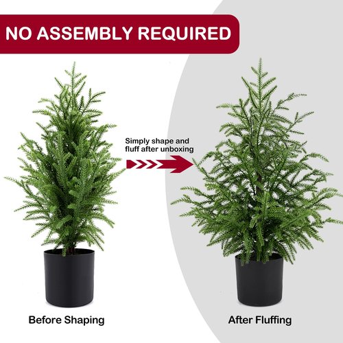 ENVEN 2FT Artificial Norfolk Pine Christmas Tree – Tabletop Faux Tree Unlit/Prelit with 50 LED Lights & 8-Function Battery Box, Pre-Assembled Holiday Decor for Home or Office (Prelit-2FT-1Pack)
