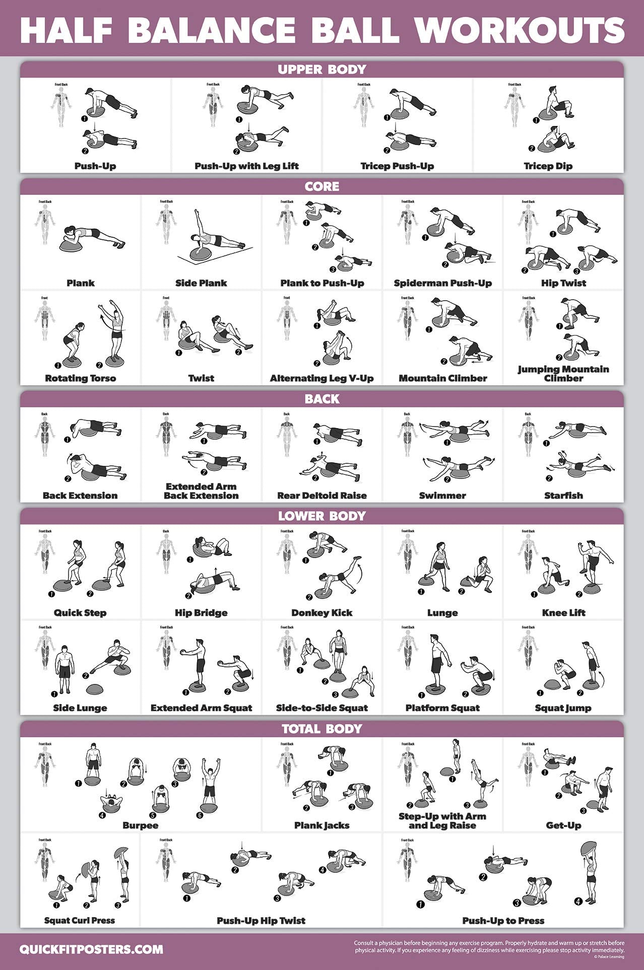 Palace Learning Half Balance Ball Workout Poster - Exercise Chart (LAMINATED, 18" x 24")