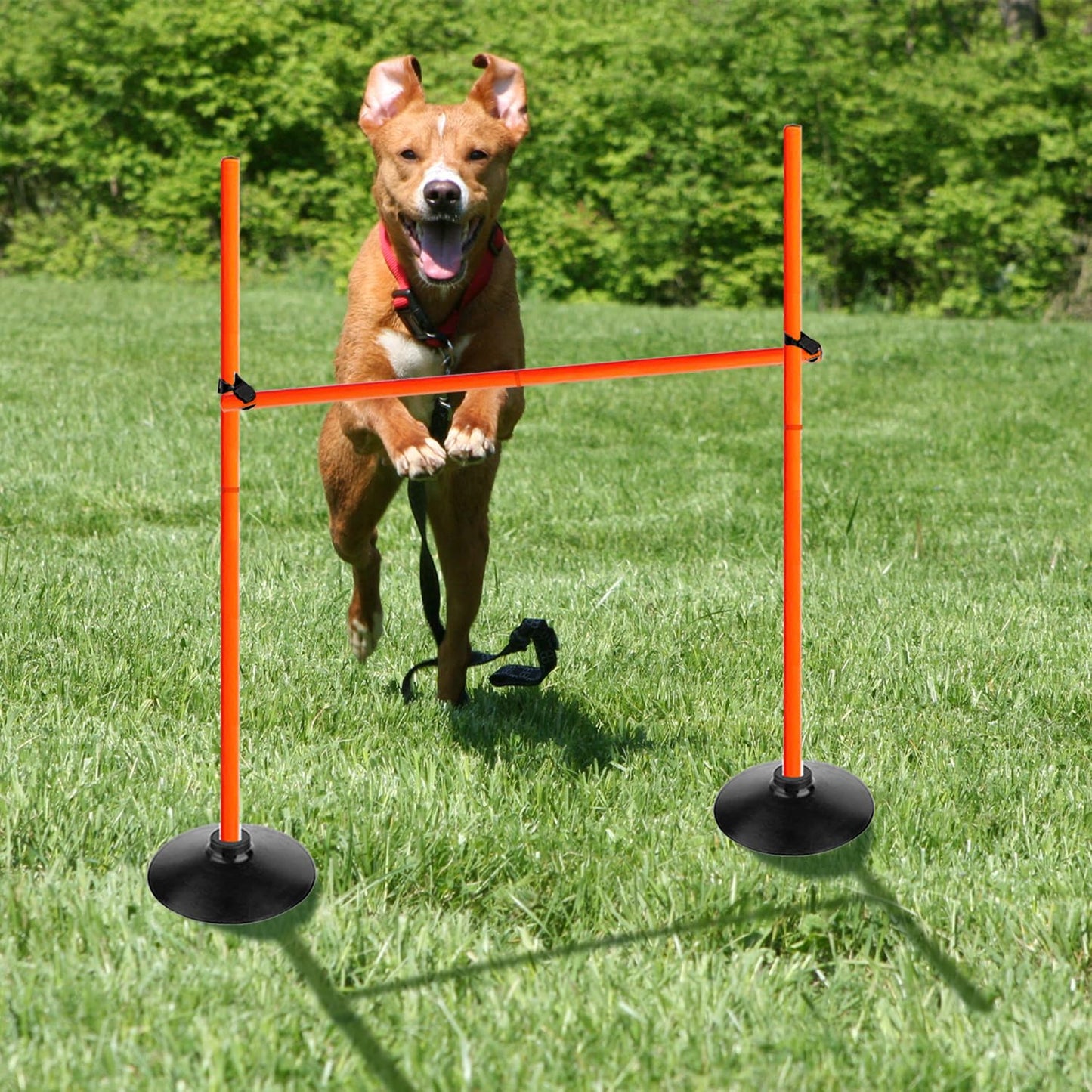 Voodans Orange Adjustable Height Agility Hurdle Set Multi-Function Soccer Trainning Pole Set Coaching Sticks with Rubber Base (Pack of 3, 3.3 FT)